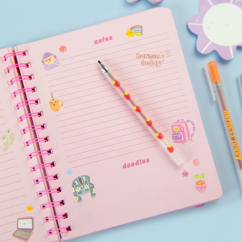 surprise box amy lesko